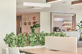 Laluvia Ofis Projesi