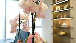 HNA Sigorta Ofis Projesi